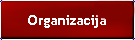 Organizacija